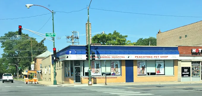 Auburn Animal Hospital