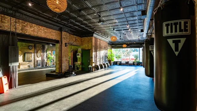 Interior of the Bodi Shak in Chicago