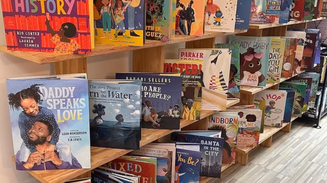 Bookshelves at Da Book Joint in Chicago