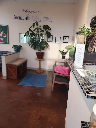 Bronzeville Animal Clinic
