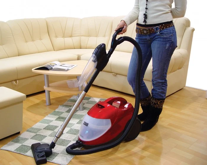 Companion Maids
